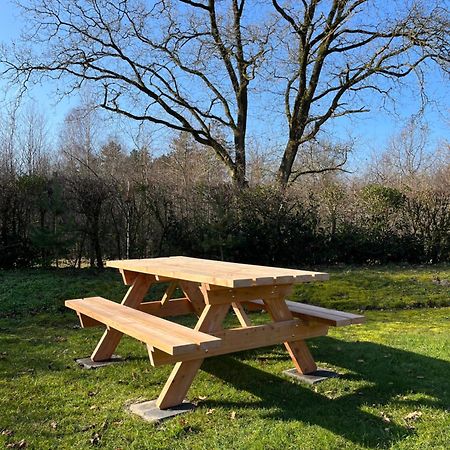 Vakantiehuis Eikzicht Gelegen Aan Het Bos Elsloo  Exterior photo