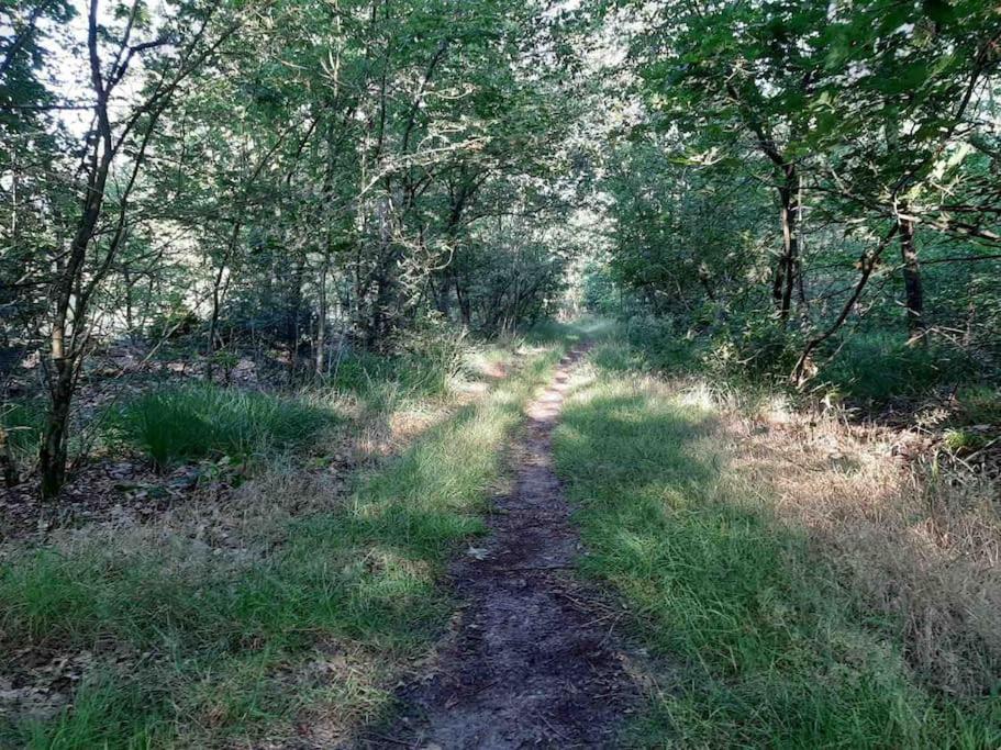 Vakantiehuis Eikzicht Gelegen Aan Het Bos Elsloo  Exterior photo