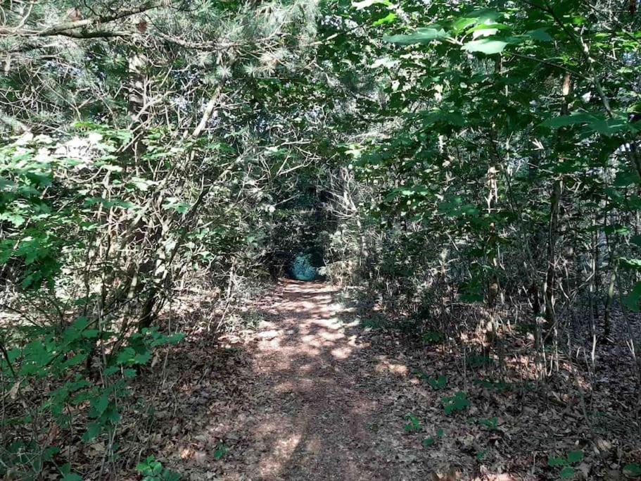 Vakantiehuis Eikzicht Gelegen Aan Het Bos Elsloo  Exterior photo