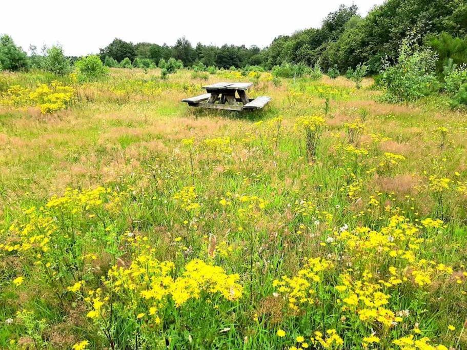 Vakantiehuis Eikzicht Gelegen Aan Het Bos Elsloo  Exterior photo