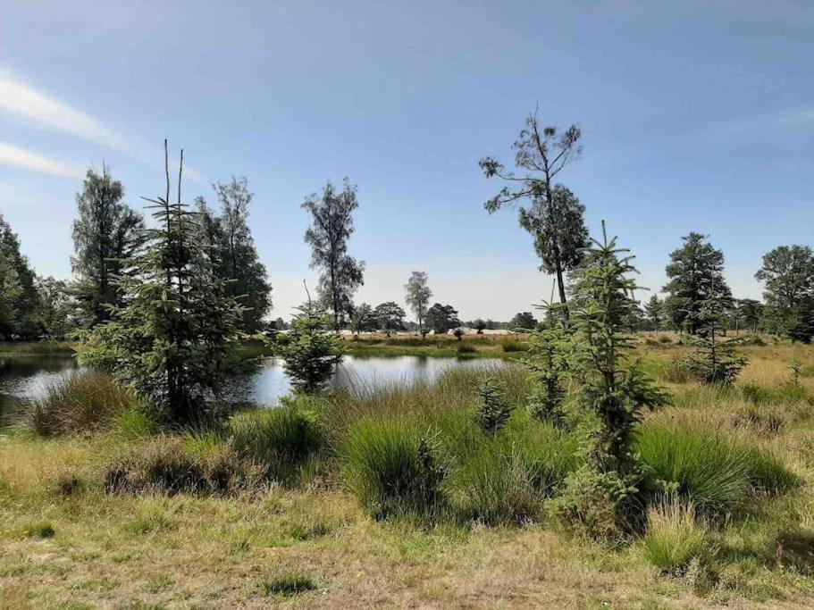 Vakantiehuis Eikzicht Gelegen Aan Het Bos Elsloo  Exterior photo