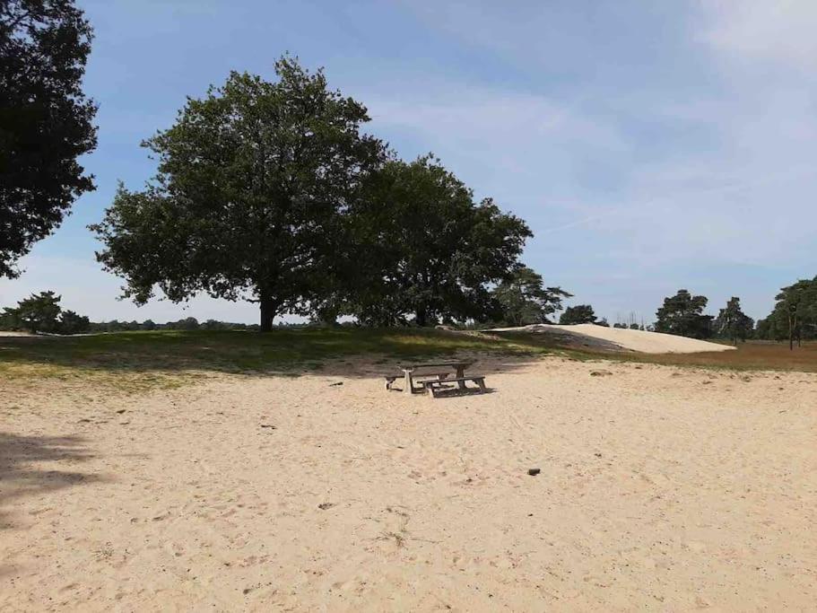 Vakantiehuis Eikzicht Gelegen Aan Het Bos Elsloo  Exterior photo