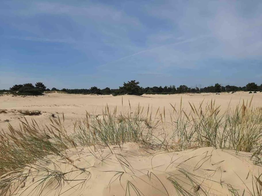 Vakantiehuis Eikzicht Gelegen Aan Het Bos Elsloo  Exterior photo