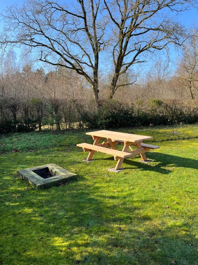 Vakantiehuis Eikzicht Gelegen Aan Het Bos Elsloo  Exterior photo